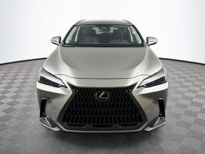 2023 Lexus NX 250 Base