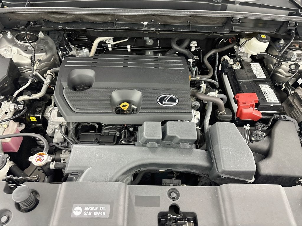 2023 Lexus NX 250 Base