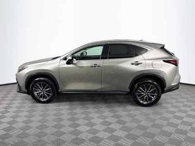 2023 Lexus NX 250 Base