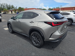 2023 Lexus NX 250 Base