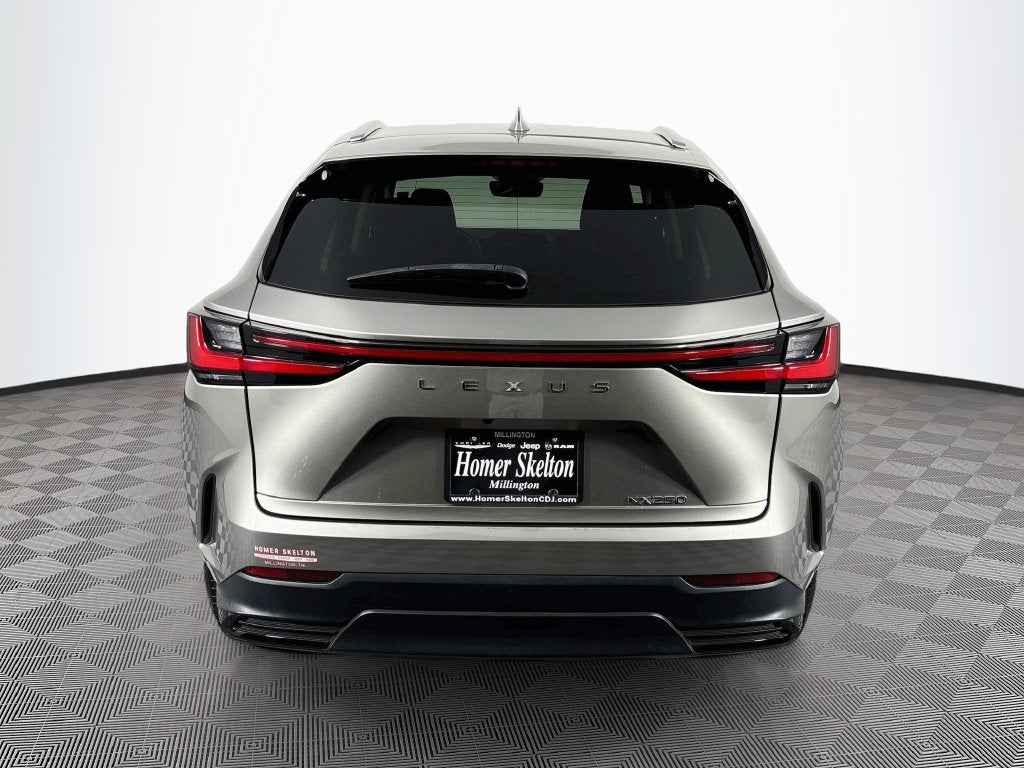 2023 Lexus NX 250 Base