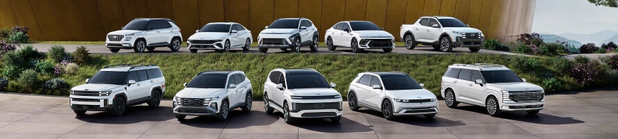 Hyundai Models arranged on a green pasture